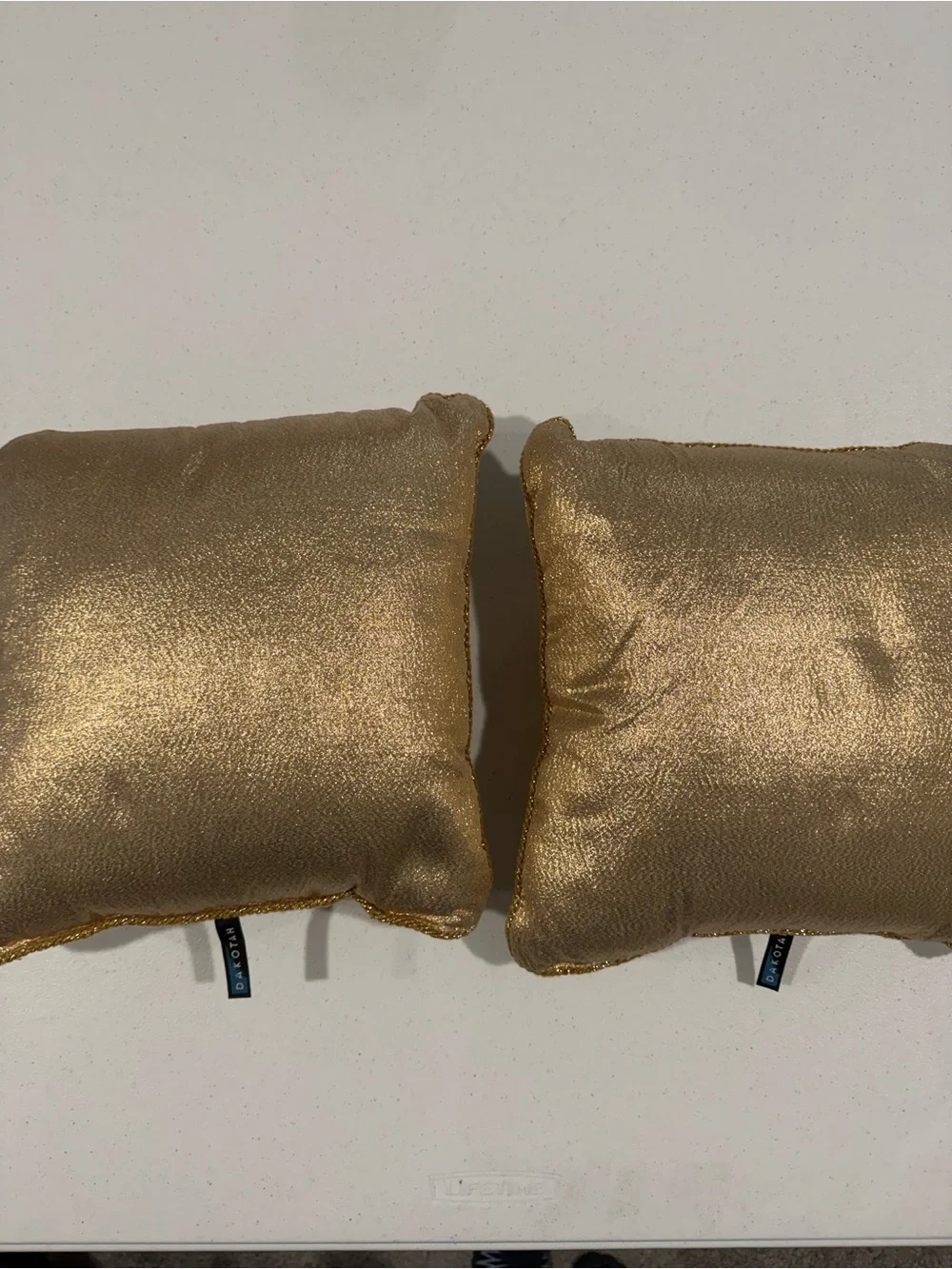 Metallic Gold Accent Throw Pillow Pair - Dakotah